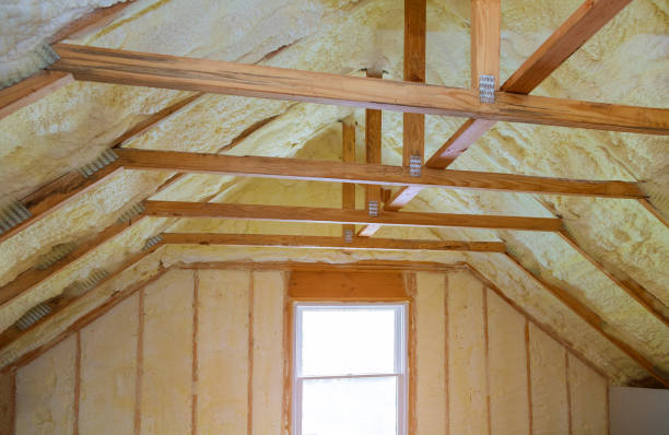 Best Spray Foam Insulation in El Macero, CA