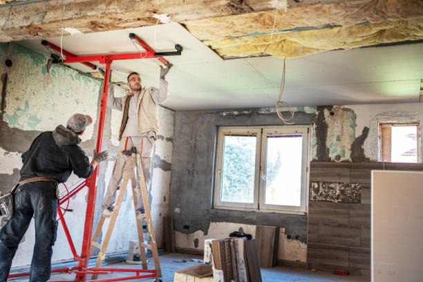 Professional Insulation Contractor in El Macero, CA