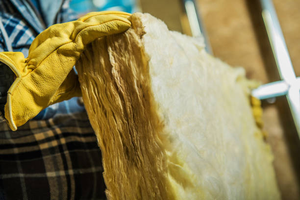 Types of Insulation We Offer in El Macero, CA