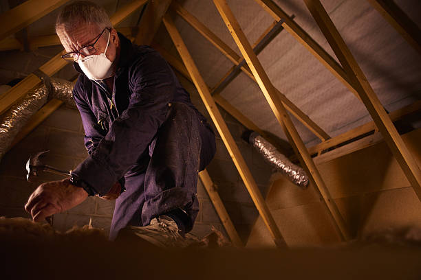 Best Specialized Insulation Services in El Macero, CA