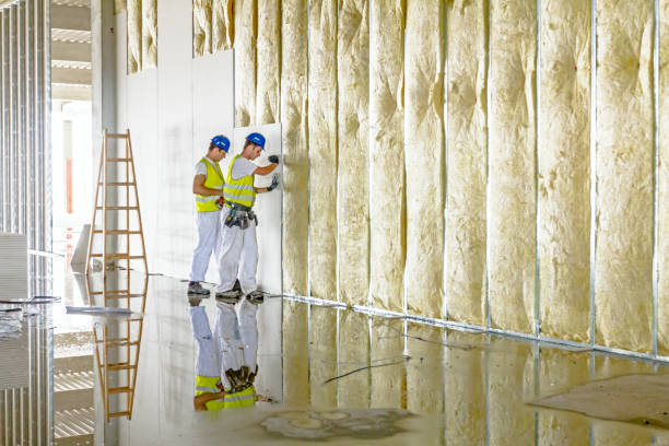 Best Eco-Friendly Insulation in El Macero, CA